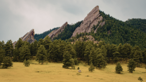 How Front Range Car Accident and Injury Attorneys Support Accident Victims