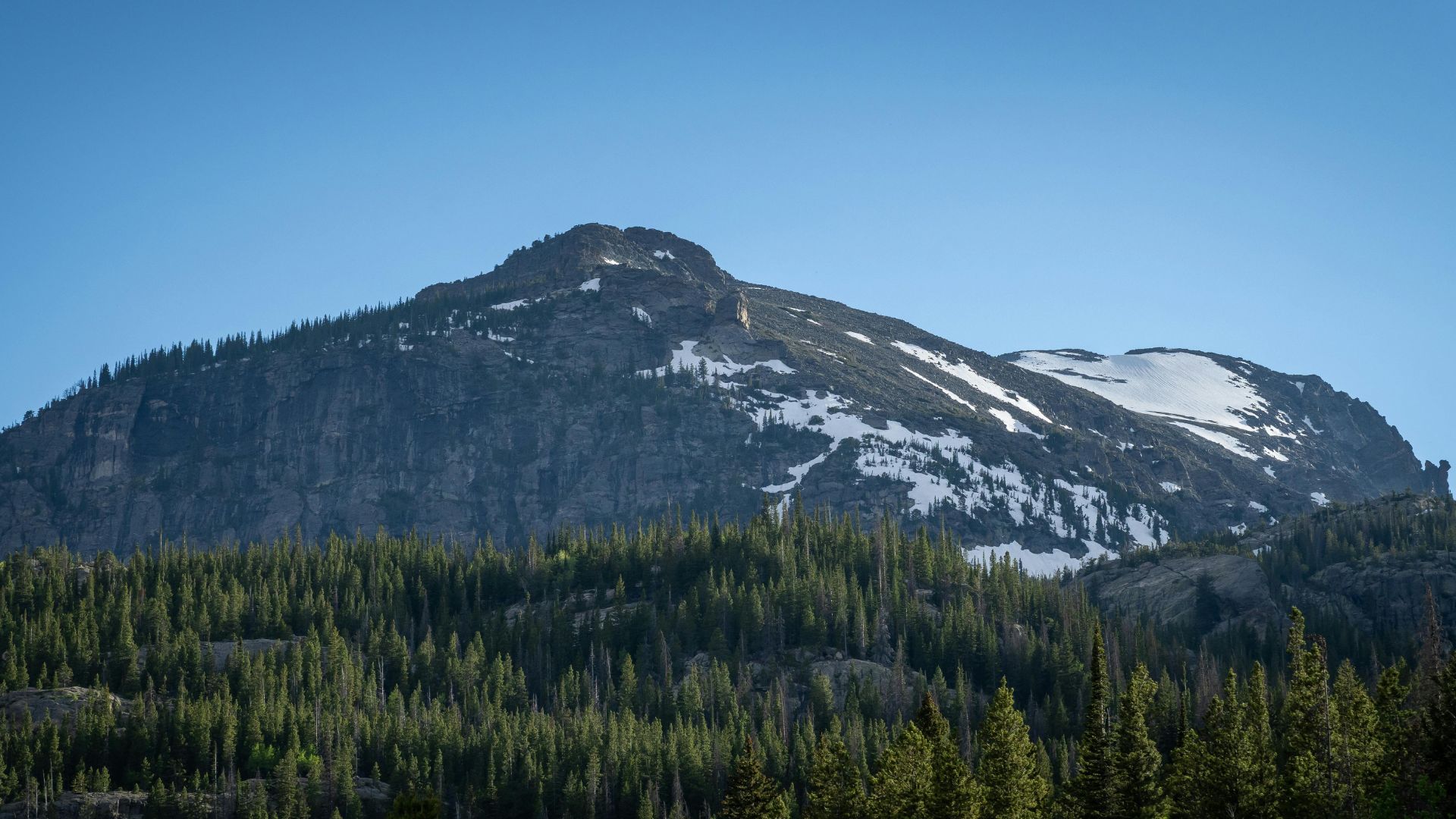 University of Colorado QB Killed in Boulder Car Crash